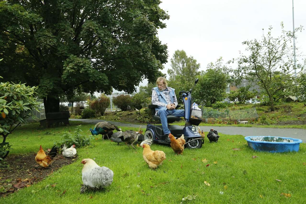 En beboer sitter i en elektrisk rullestol utendørs og ser på hønene i hagen