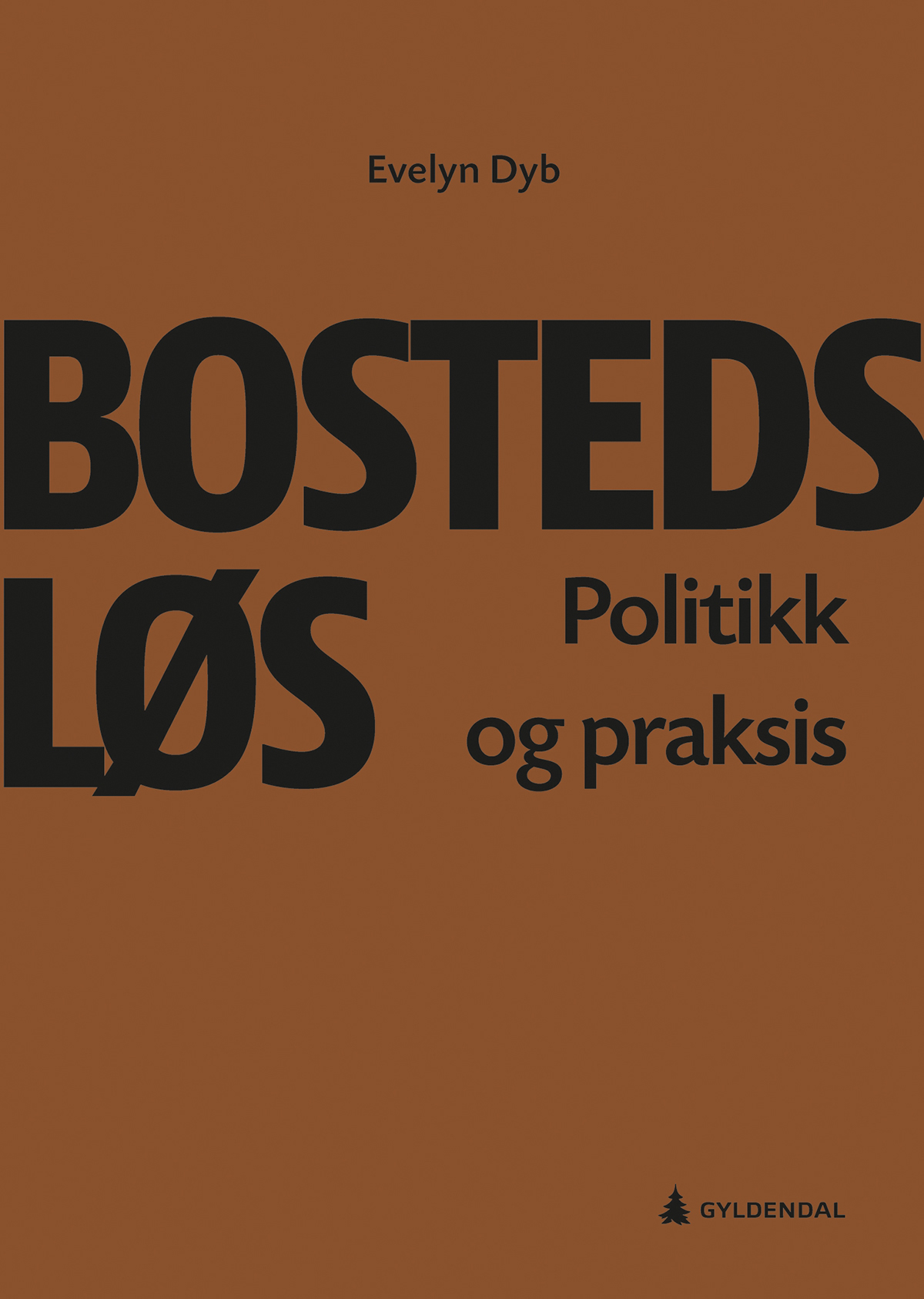 Forsiden til boken Bostedsløs - Politikk og praksis